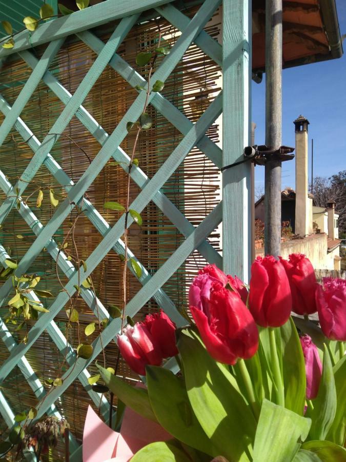 Apartament The Nest Grosseto Zewnętrze zdjęcie